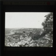 Böhl glass slide 62.1/2124